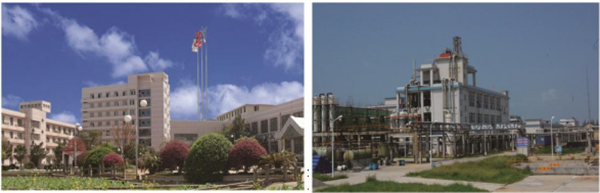 中文字幕乱码亚洲无线三区