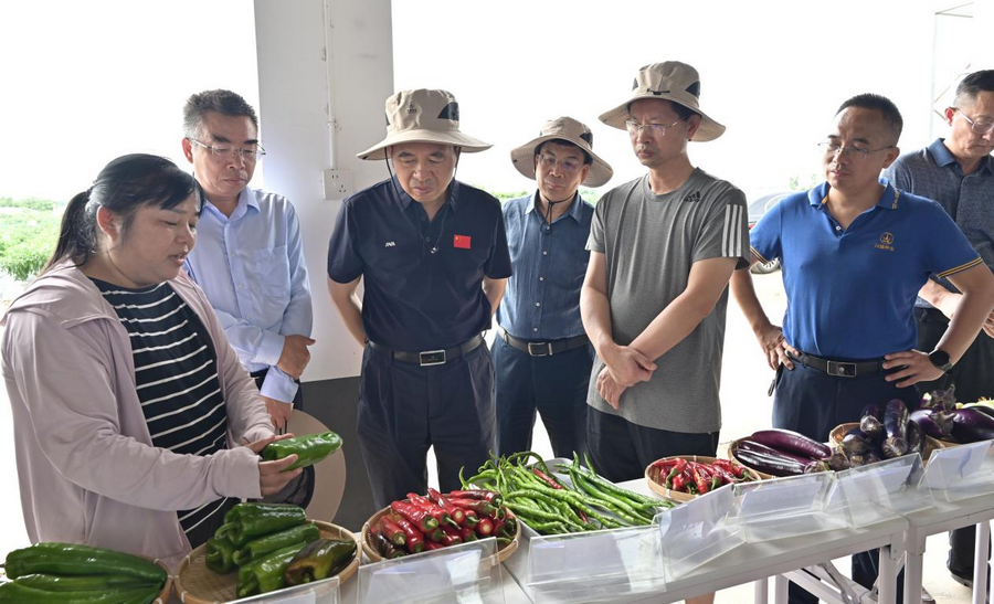 中文字幕乱码亚洲无线三区