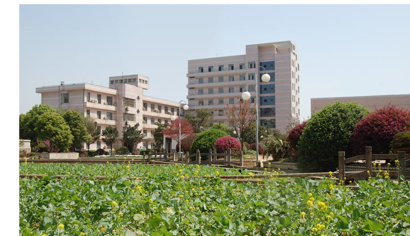 中文字幕乱码亚洲无线三区