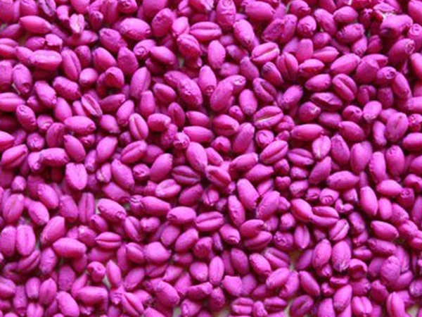 中文字幕乱码亚洲无线三区