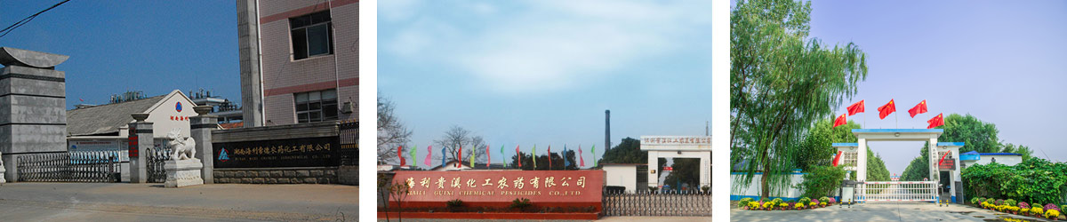 中文字幕乱码亚洲无线三区